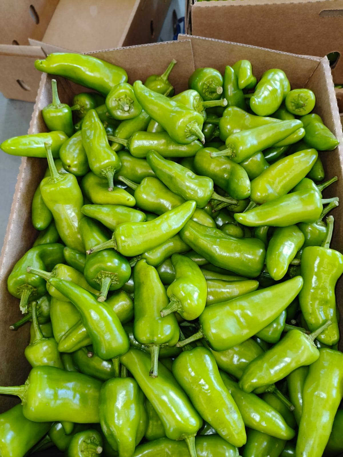 Vegetables